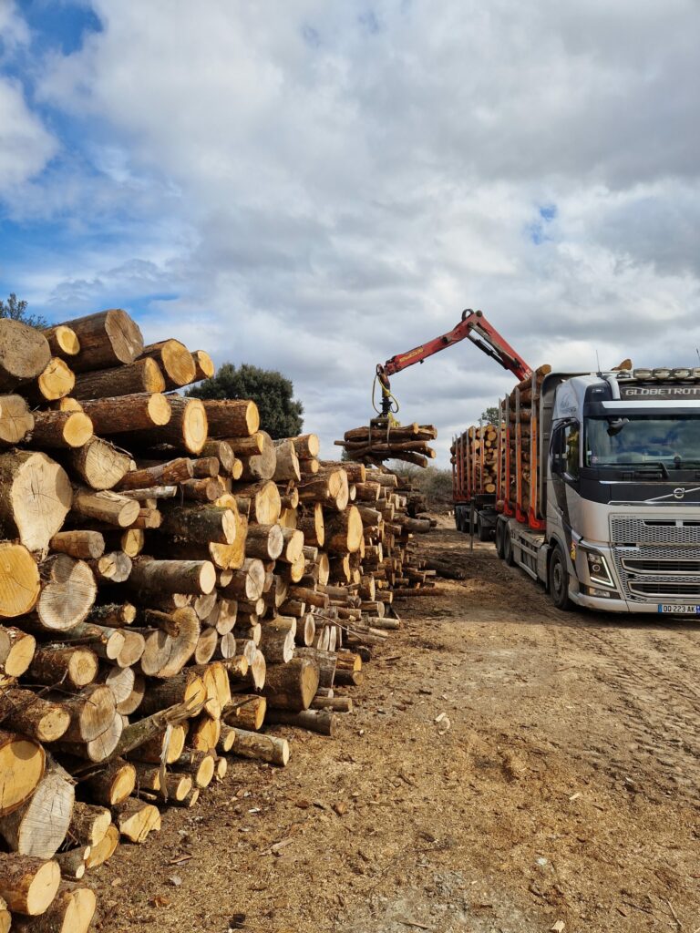 Livraison de bois dans l'Hérault